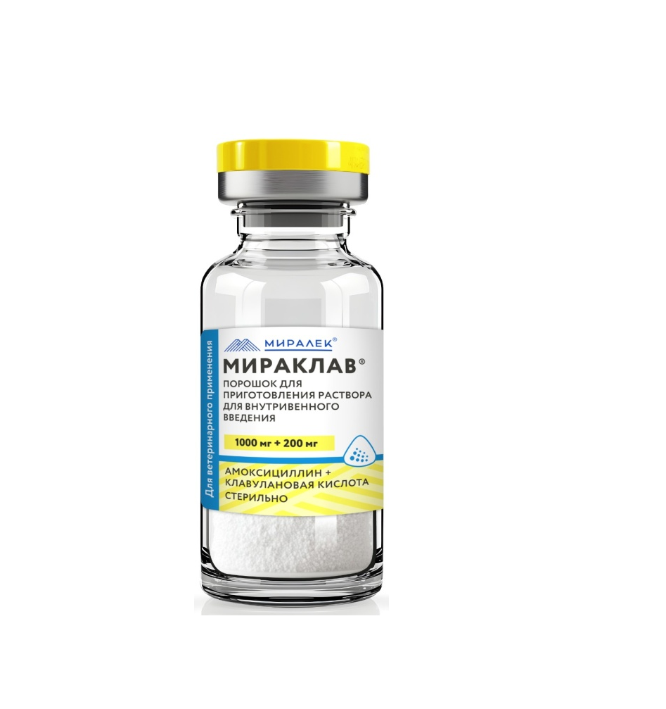 Мираклав ® 1000/200 мг, 1 фл. упаковка